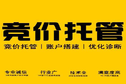 百度竞价代理全攻略：成功案例分享